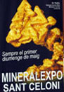 Minerals and fossils showcase, mineralExpo 2008
