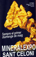 Fires de minerals, MineralExpo 2009