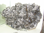 Fluorite with Hidrocarbures
