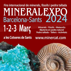 MineralExpo Sants 2024