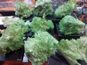 Green gypsum