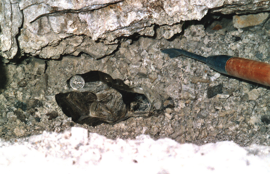 Quartz crystals covered with a thin gray coating