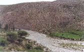 granite stock of Papachacra Formation