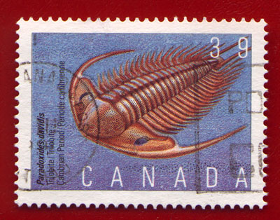Paradoxides stamp