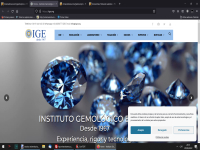 Instituto Gemológico Español (IGE)