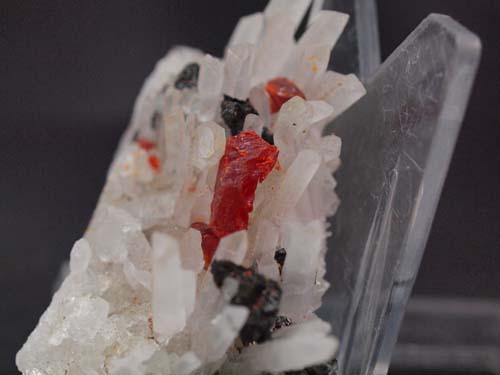 cristalls de quars (cristalls de quars de 1,5cm) amb cristalls de realgar (cristall de realgar de 1cm) i cristalls d'esfalerita.<br>Mida 2cm x 5cm x 4cm